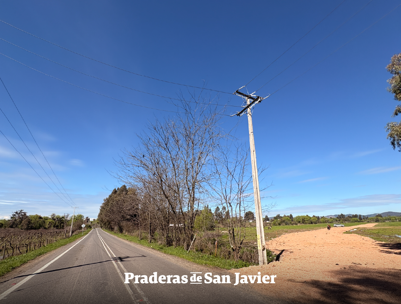 Praderas de San Javier