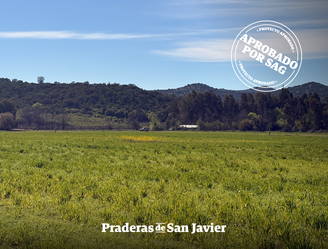 Praderas de San Javier