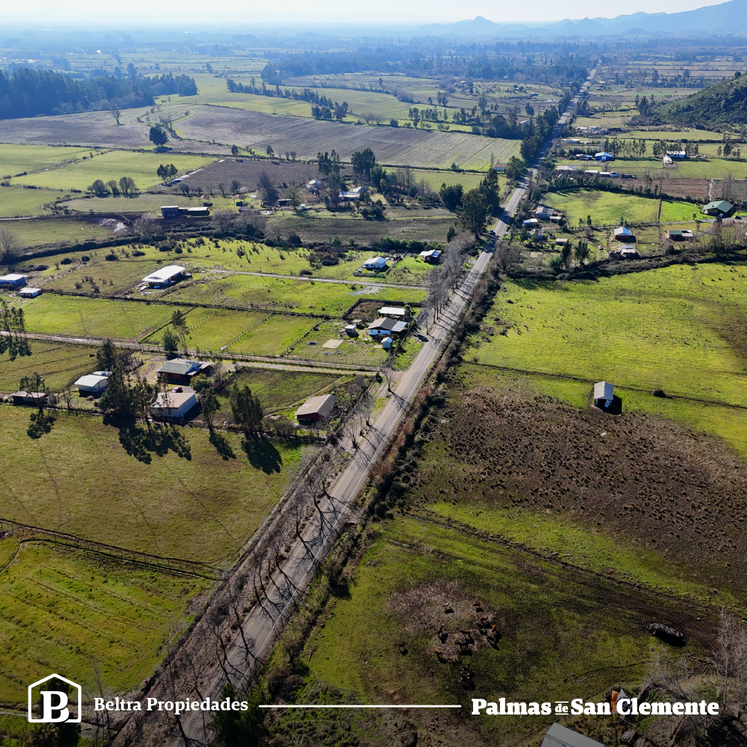 Palmas De San Clemente - Beltra.Cl